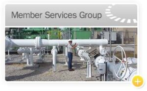 Member Services Group